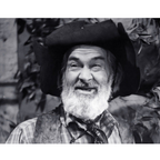 The Gabby Hayes Show 1950 Classic TV DVD – 14 Episodes – Rare Western Comedy