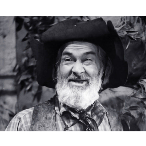 The Gabby Hayes Show 1950 Classic TV DVD – 14 Episodes – Rare Western Comedy