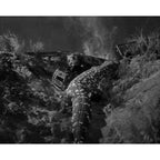 The Giant Gila Monster (1959) Sci-Fi Horror DVD Collector Edition