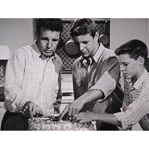 The Adventures Of Ozzie And Harriet (1952–1966) – 435 Episodes On USB Rare