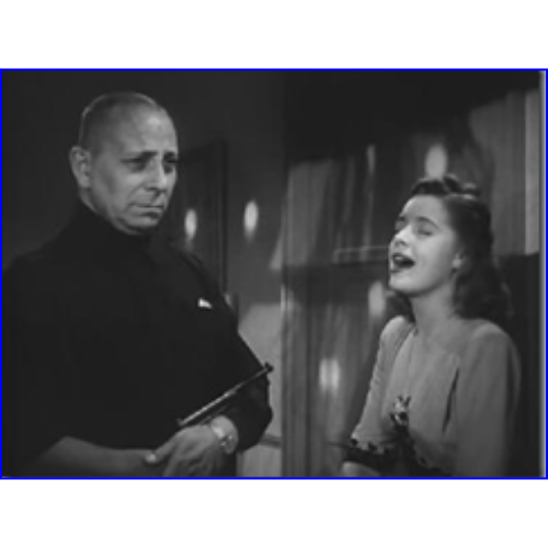 The Great Flamarion (1945) Film Noir Murder Mystery Public Domain CollectorsDVD