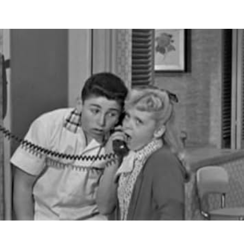 Blondie (1957) Classic Tv Comedy Show DVD – 26 Rare Eps - Collectors Edition