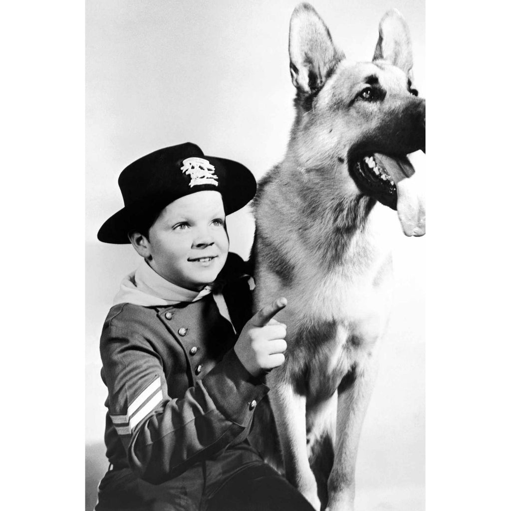Classic Dog Heroes Movie Collection Rin Tin Tin Rusty Lassie Films Collector DVD