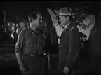 Tiger Rose 1929 Pre Code Adventure Romance Drama Film DVD