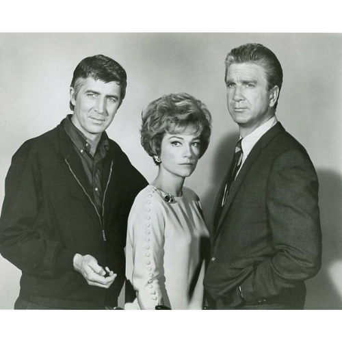 The New Breed (1961) Crime Drama TV DVD – 13 Episodes