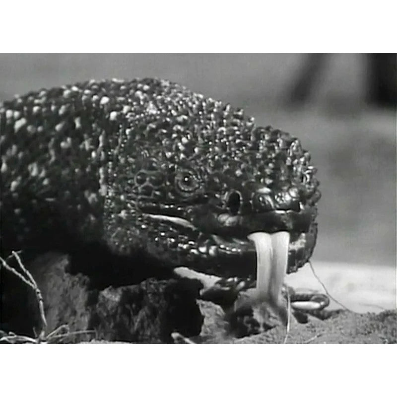 The Giant Gila Monster (1959) Sci-Fi Horror DVD Collector Edition