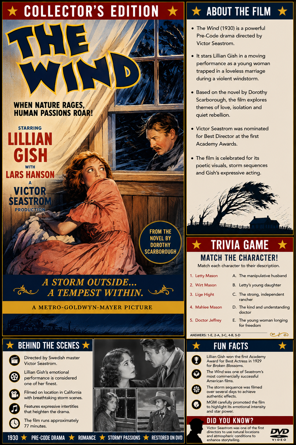 The Wind 1928 Lillian Gish Silent Drama Classic Film DVD