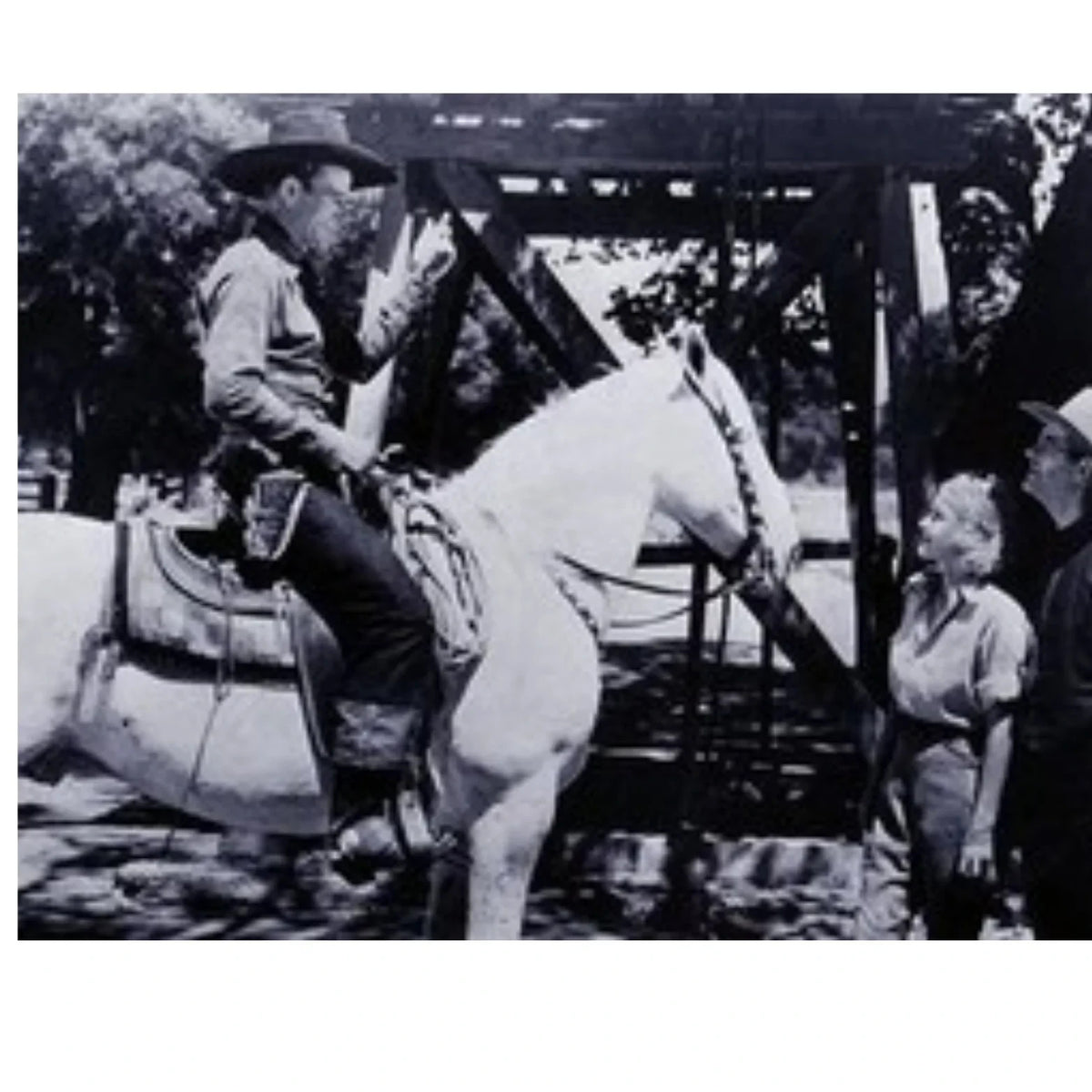 Riders of Destiny (1933) John Wayne Western DVD Collector Edition
