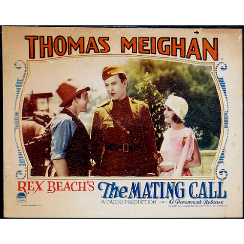 The Mating Call (1928) Silent Drama DVD Collector Edition