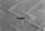 Meshes of the Afternoon (1943) Experimental Fantasy Short DVD Collector Edition