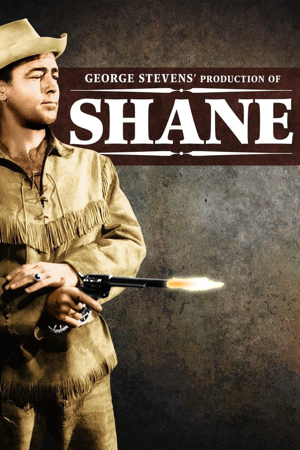 Shane (1966) Classic TV 17 Episodes On DVD Great Gift/Collectors item