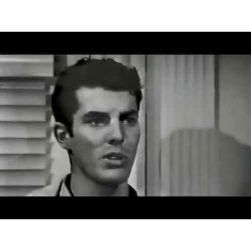 The New Breed (1961) Crime Drama TV DVD – 13 Episodes