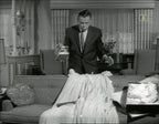 The Tom Ewell Show (1960) Classic TV 27 Episodes on DVD - Collectors Edition