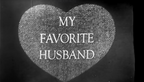 My Favorite Husband (1953–1955) Rare Classic TV Series DVD – 3 Episodes