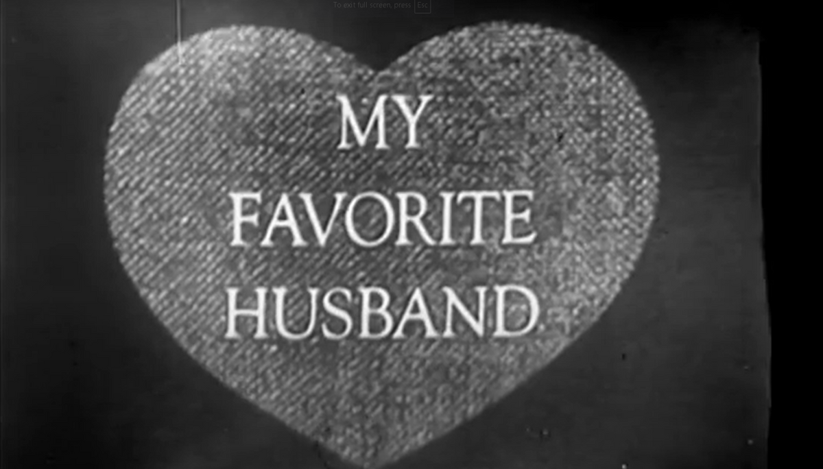 My Favorite Husband (1953–1955) Rare Classic TV Series DVD – 3 Episodes