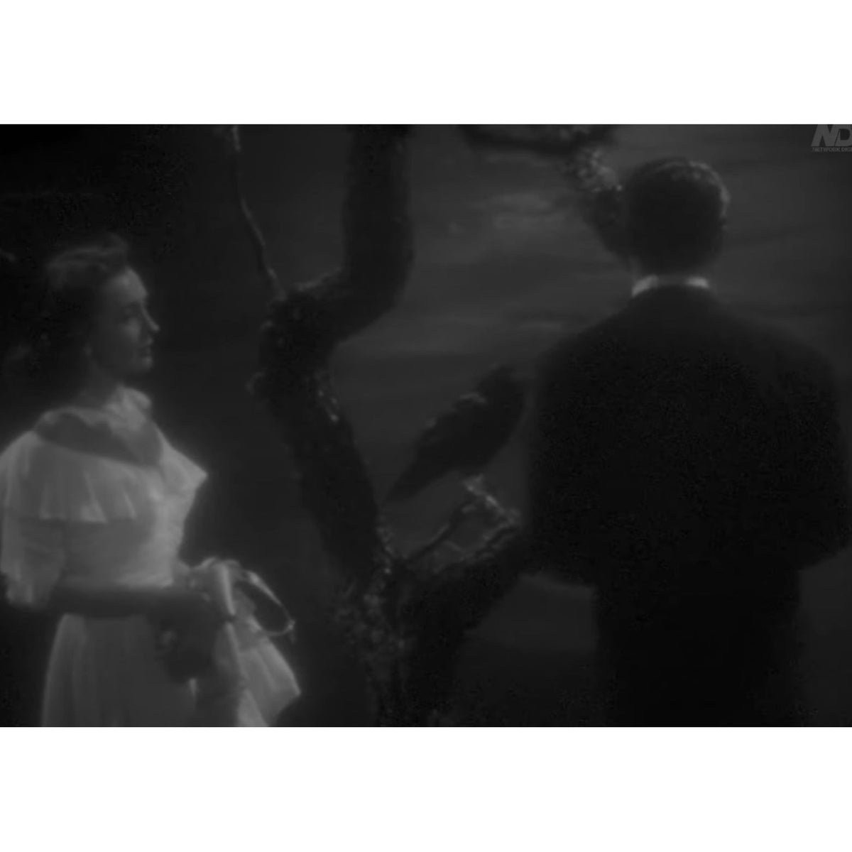 The Amazing Mr. X (1948) Film Noir Mystery DVD Collector Edition