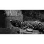 The Giant Gila Monster (1959) Sci-Fi Horror DVD Collector Edition
