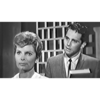 Follow The Sun (1961) Rare Classic TV 25 Episodes On DVD