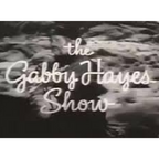 The Gabby Hayes Show 1950 Classic TV DVD – 14 Episodes – Rare Western Comedy