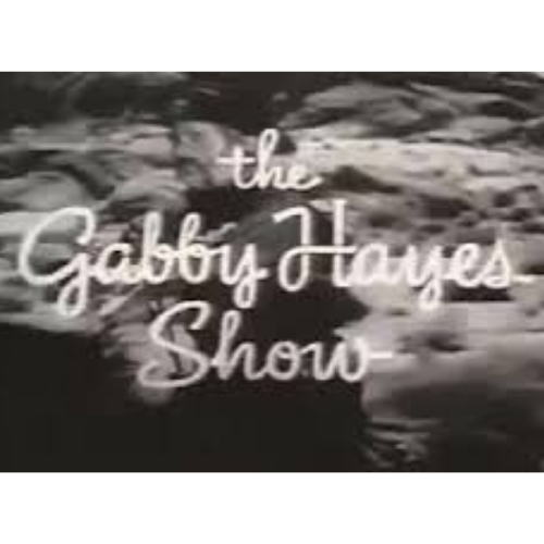 The Gabby Hayes Show 1950 Classic TV DVD – 14 Episodes – Rare Western Comedy