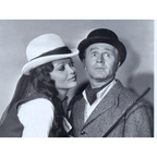 The Double Life of Henry Phyfe (1966) RARE CLASSIC TV COMEDY ON DVD – 6 EPISODES