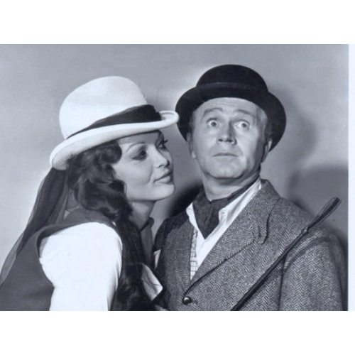The Double Life of Henry Phyfe (1966) RARE CLASSIC TV COMEDY ON DVD – 6 EPISODES