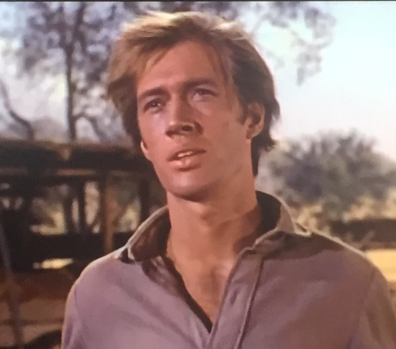 Shane (1966) Classic TV 17 Episodes On DVD Great Gift/Collectors item