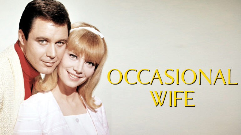 Occasional Wife (1966) Classic TV Comedy USB 29 Episodes Rare Sitcom