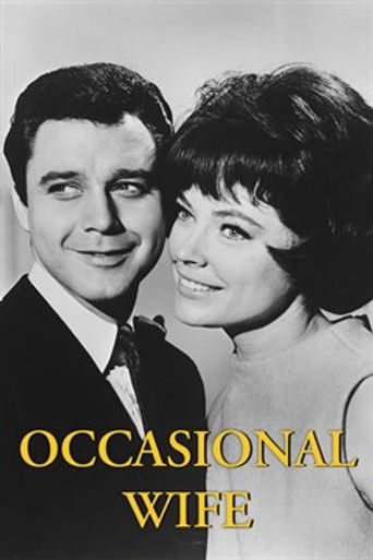 Occasional Wife (1966) Classic TV Comedy USB 29 Episodes Rare Sitcom