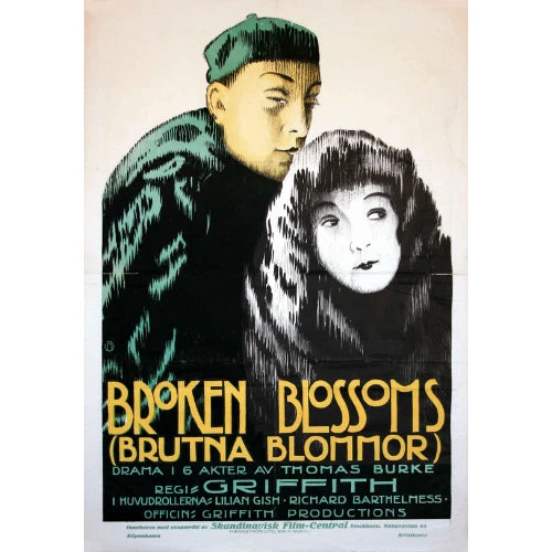 Broken Blossoms 1919 Rare Silent Drama DVD Classic