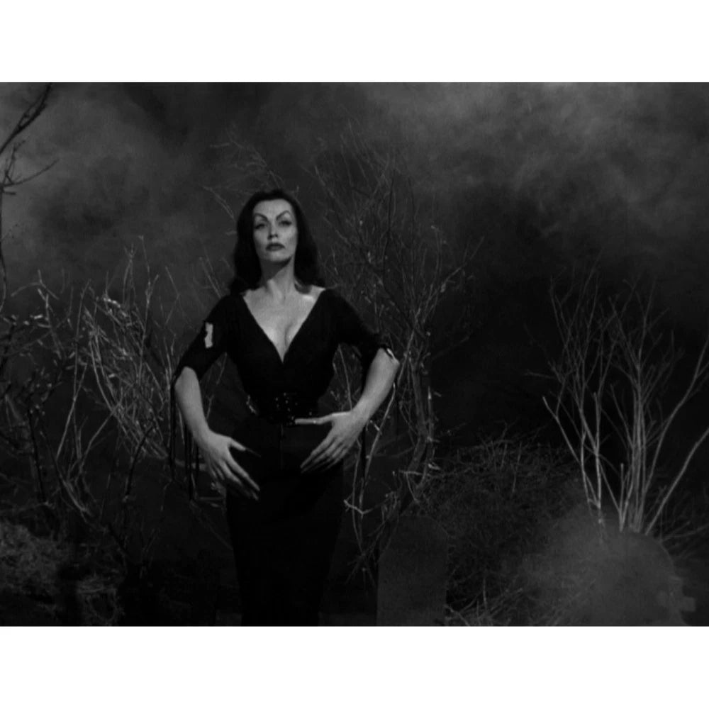 Plan 9 from Outer Space 1959 Classic Sci-Fi Horror Cult Film on DVD