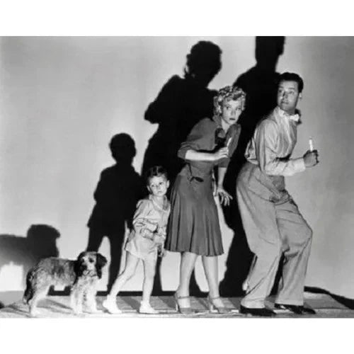 Blondie Has Servant Trouble 1940 Rare Comedy DVD Classic