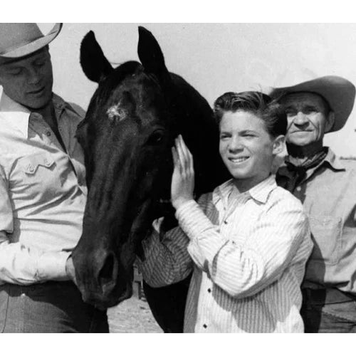 Fury 1955 Classic TV Series Season 1 – 12 Rare Episodes on DVD