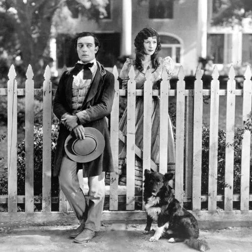 Our Hospitality 1923 Rare Comedy DVD Buster Keaton Classic Film