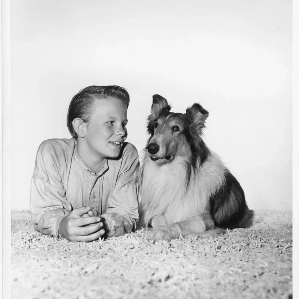 The Painted Hills (1951) – Lassie Classic Western Adventure Family Film DVD