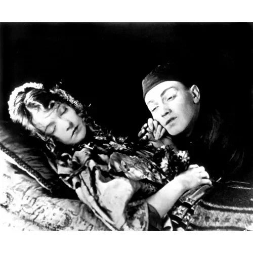 Broken Blossoms 1919 Rare Silent Drama DVD Classic