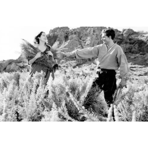 Wuthering Heights 1939 Rare Romantic Drama DVD Classic