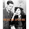 Mexican Spitfire 1940 Rare Comedy DVD Classic