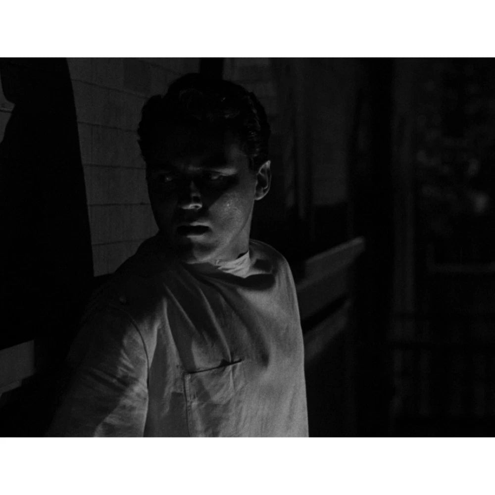 The Killer That Stalked New York 1950 Film Noir Crime Drama on DVD
