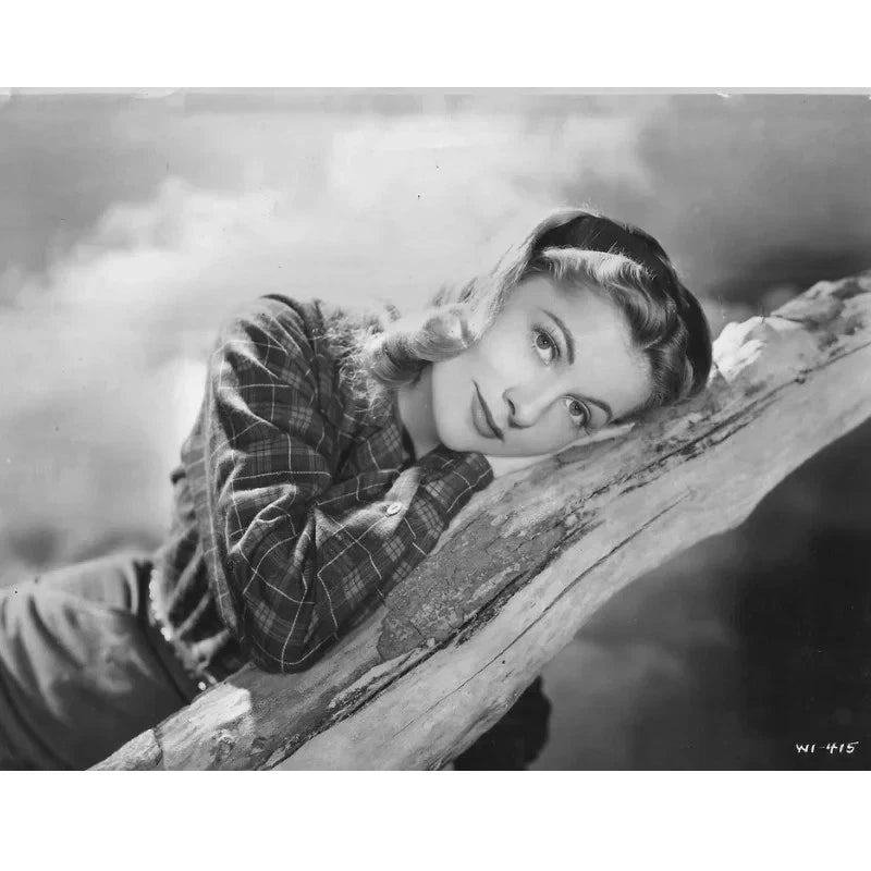 The Affairs of Susan 1945 Rare Comedy Romance DVD Joan Fontaine