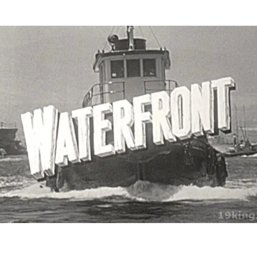 Waterfront (1954) 14 Episodes Classic TV Drama Collection on DVD