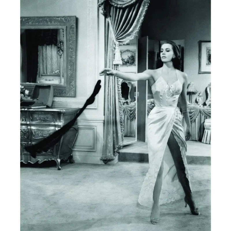 Silk Stockings 1957 Rare Musical Romance DVD Classic