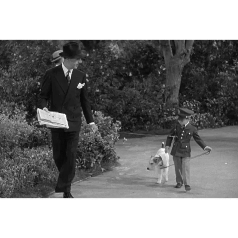 Shadow of the Thin Man 1941 Rare Mystery Comedy DVD Classic