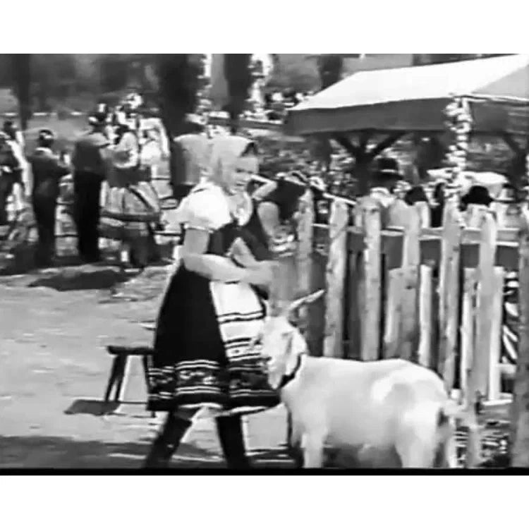 Spring Parade 1940 Rare Musical Romance DVD Classic