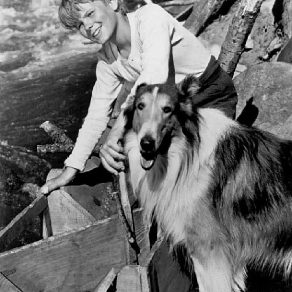 The Painted Hills (1951) – Lassie Classic Western Adventure Family Film DVD