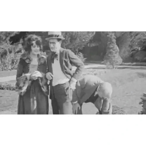 Girl Shy 1924 Rare Silent Romantic Comedy DVD Classic
