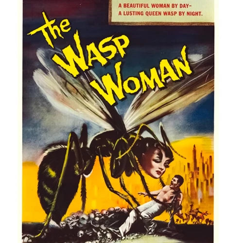 The Wasp Woman 1959 Rare Science Fiction Horror DVD Classic