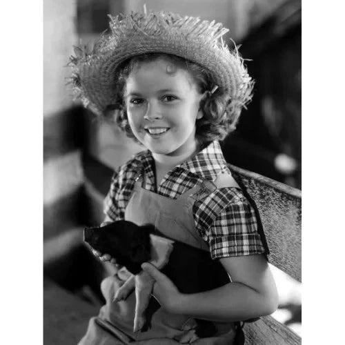Rebecca of Sunnybrook Farm 1938 Rare Family Musical DVD Classic