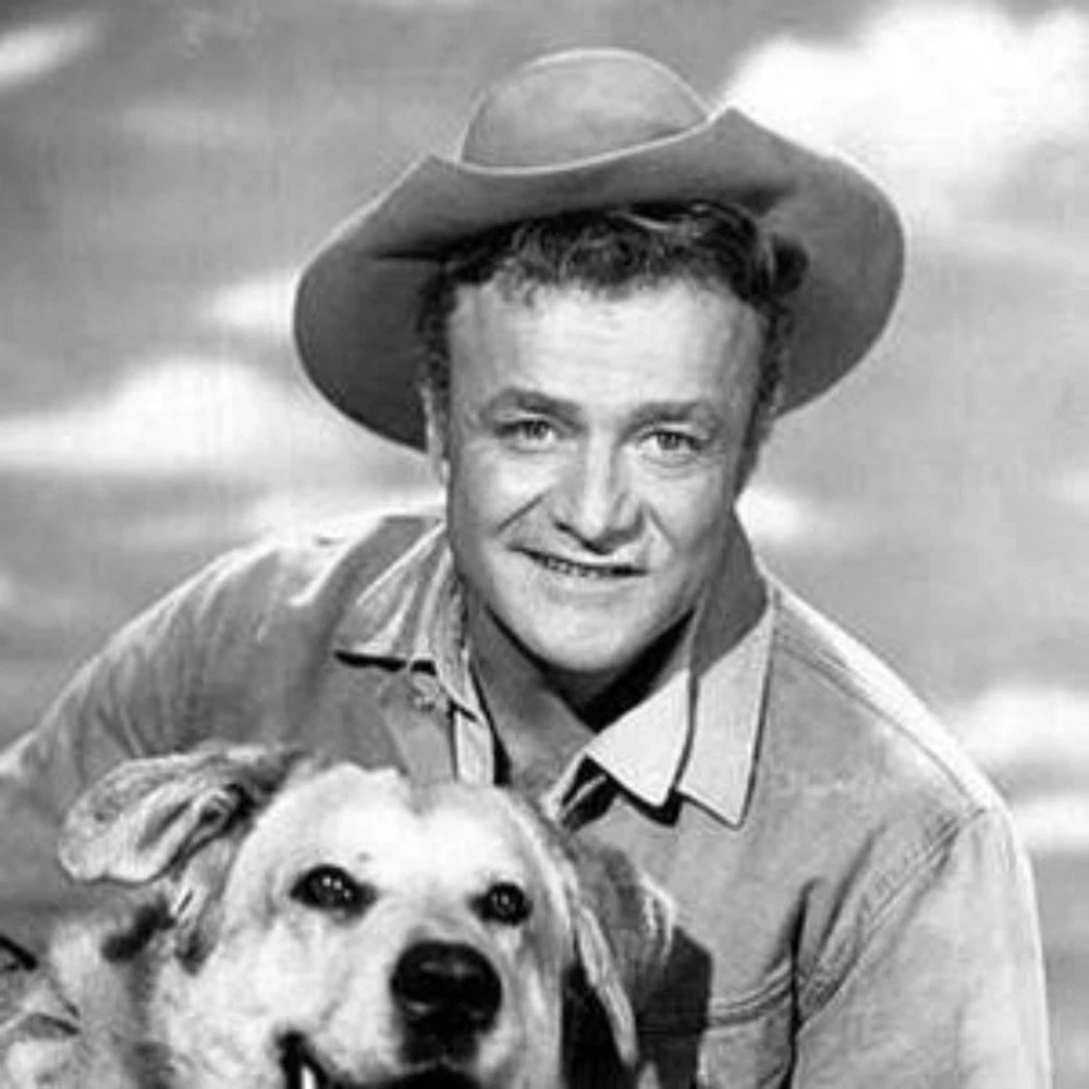 Brian Keith Movie Collection (1940–1966) 8 Classic Drama Films DVD Set