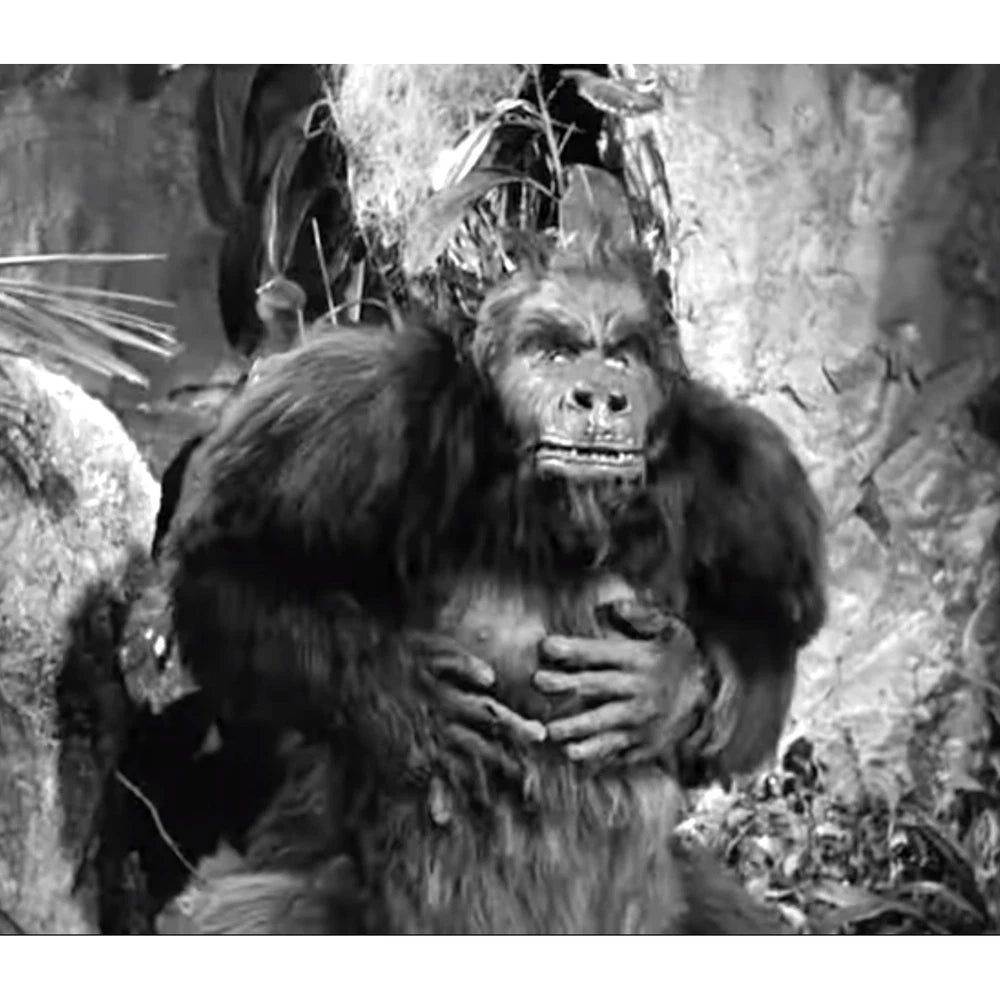 The Gorilla 1939 Classic Comedy Horror Film Starring Bela Lugosi on DVD